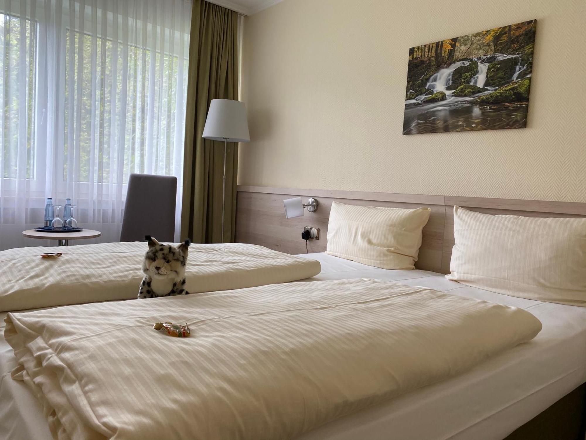 Parkhotel Бад-Гарцбург Экстерьер фото